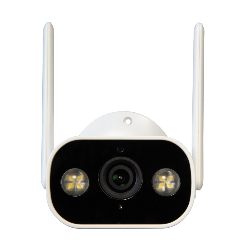 Telecamera Esterno Wi-Fi Senza Fili Visione Notturna Ir Alexa Google