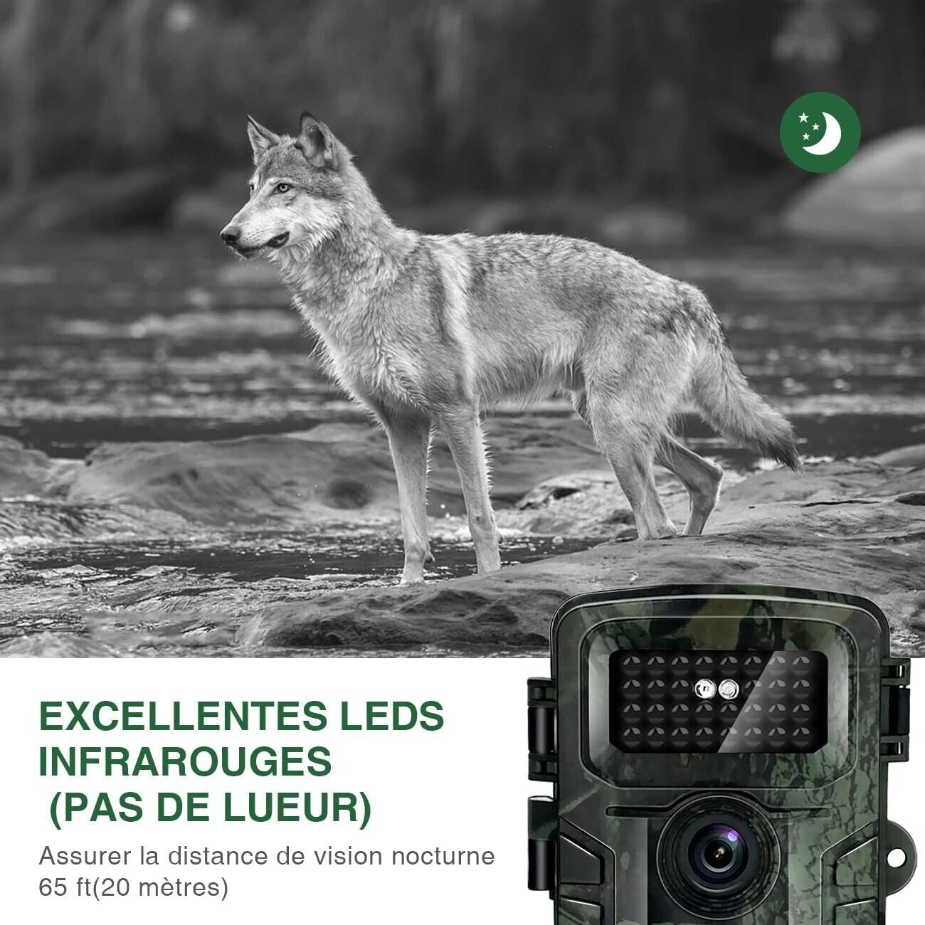 Fotocamera Caccia 12Mp 1080P Hd Lcd 2.4" Impermeabile Fototrappola Infrarossi